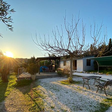 Olive Grove Guest House Anávyssos Eksteriør bilde